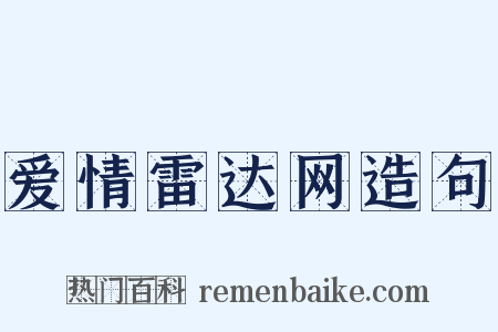 爱情雷达网造句是什么意思的图片